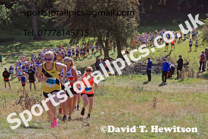 Senior Womens 2026 NEHL, Thornley Hall Farm, Peterlee, County Durham. Photo: David T. Hewitson/Sports for All Pics